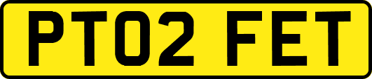 PT02FET