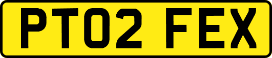 PT02FEX