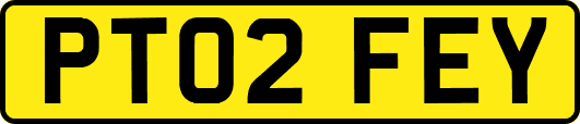 PT02FEY