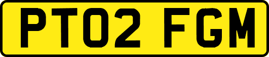 PT02FGM