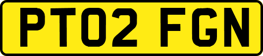 PT02FGN