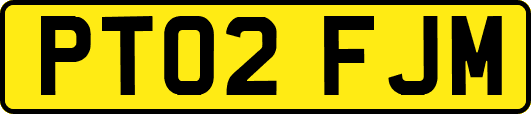 PT02FJM