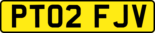 PT02FJV