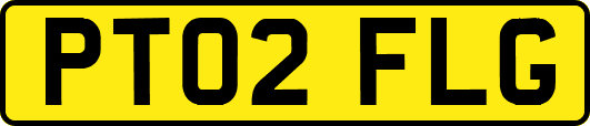 PT02FLG