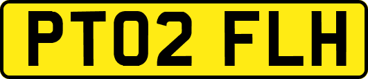 PT02FLH