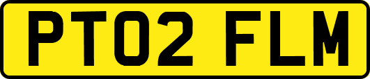 PT02FLM