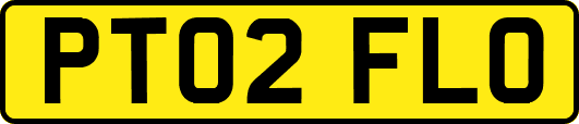 PT02FLO