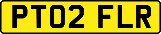 PT02FLR
