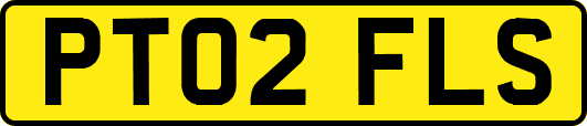 PT02FLS