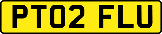 PT02FLU