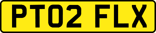 PT02FLX