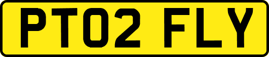 PT02FLY