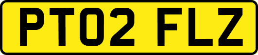PT02FLZ