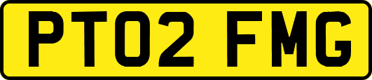 PT02FMG