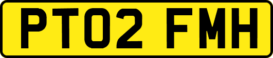 PT02FMH