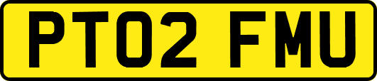 PT02FMU