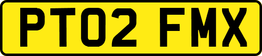 PT02FMX