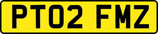 PT02FMZ