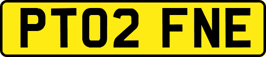 PT02FNE