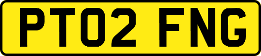 PT02FNG