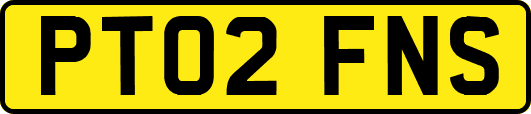 PT02FNS