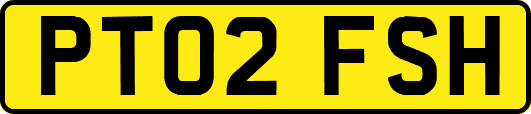 PT02FSH