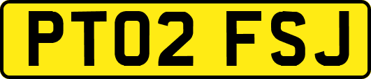 PT02FSJ