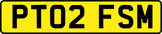 PT02FSM