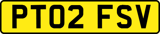 PT02FSV