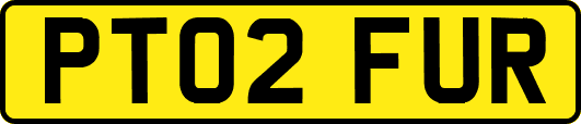 PT02FUR