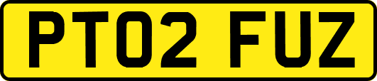 PT02FUZ