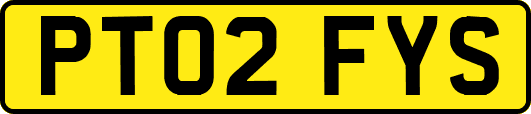 PT02FYS