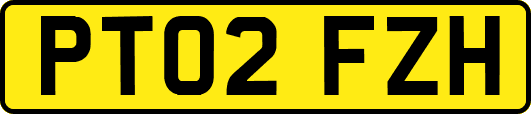 PT02FZH