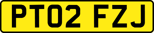 PT02FZJ