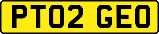 PT02GEO