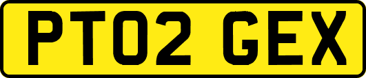PT02GEX