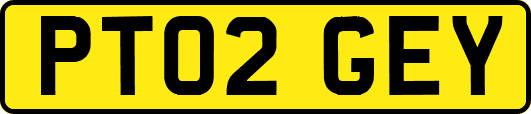 PT02GEY