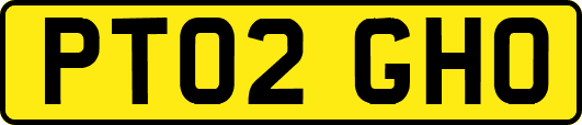 PT02GHO