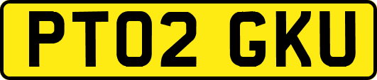 PT02GKU