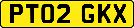 PT02GKX