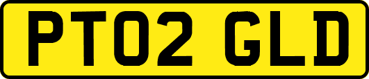 PT02GLD