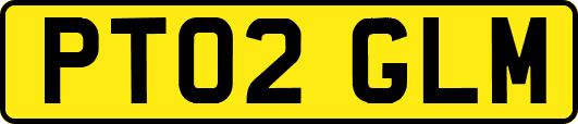 PT02GLM