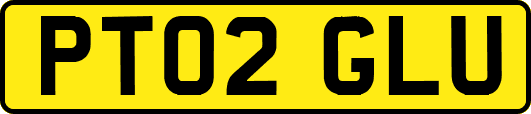 PT02GLU