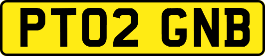 PT02GNB