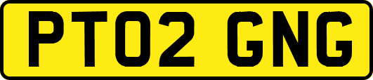 PT02GNG