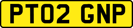 PT02GNP