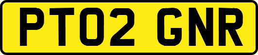 PT02GNR