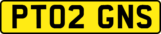 PT02GNS
