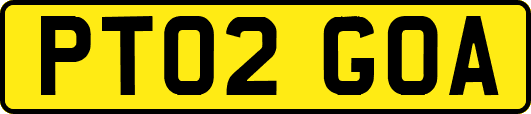 PT02GOA