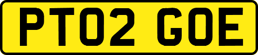 PT02GOE